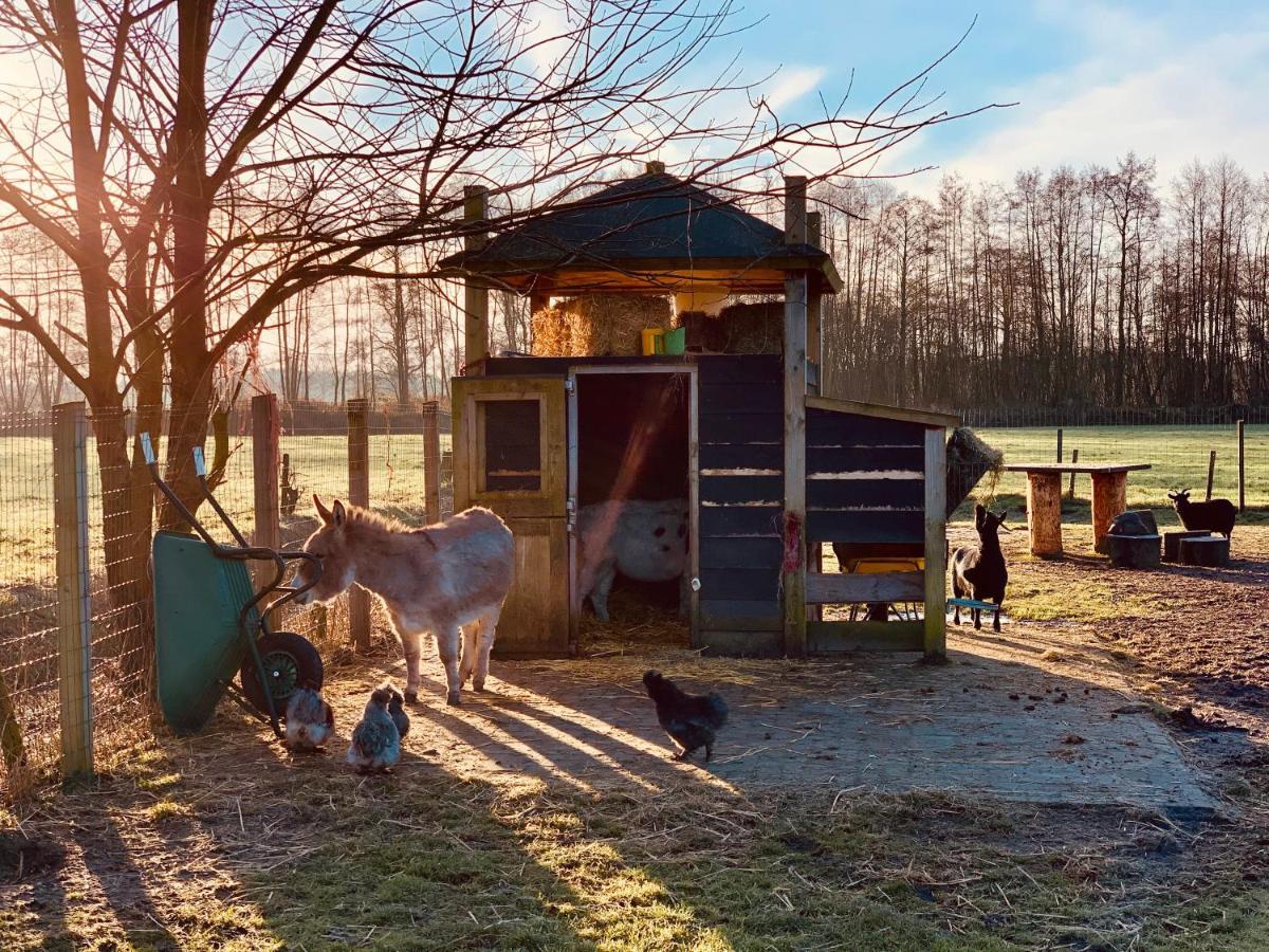 Camping Vossenberg - Op De Veluwe! Epe Luaran gambar